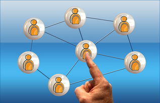 -高校体育课程多样化选择机制研究,高校体育课程多样化选择机制研究现状