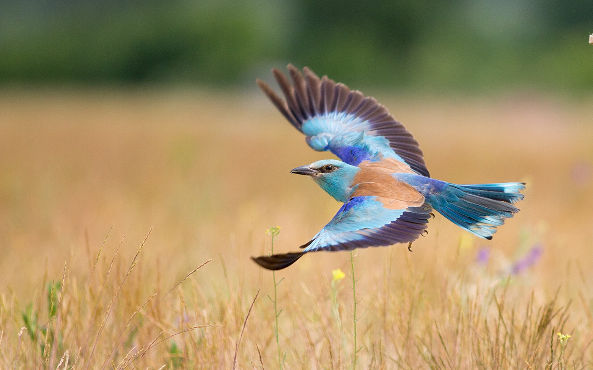 九游登录入口-亚洲杯中国足球战平 球迷鼓励继续前行，亚洲杯足球中国队赛程表