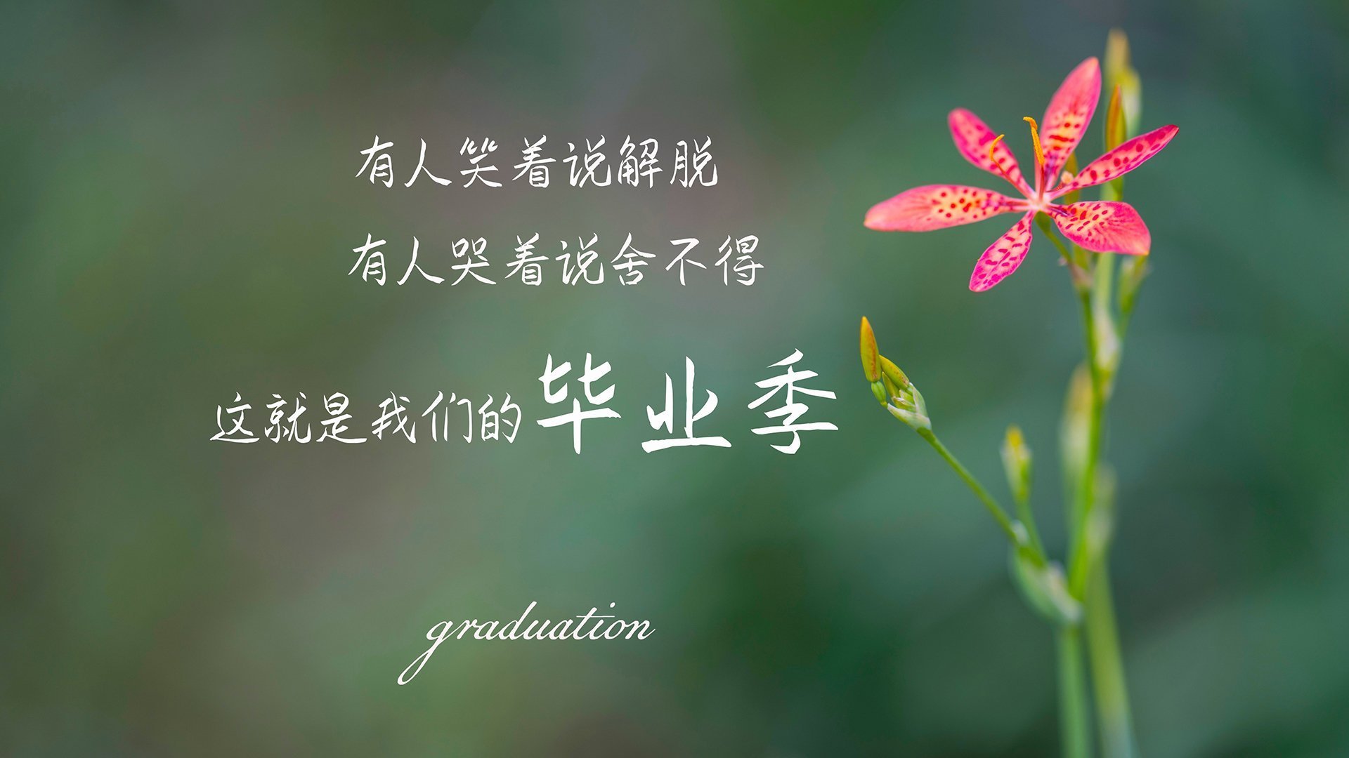 JIUYOU GAMING-天府新区再掀体育热潮，湖滨赛场受瞩目，天府体育公园