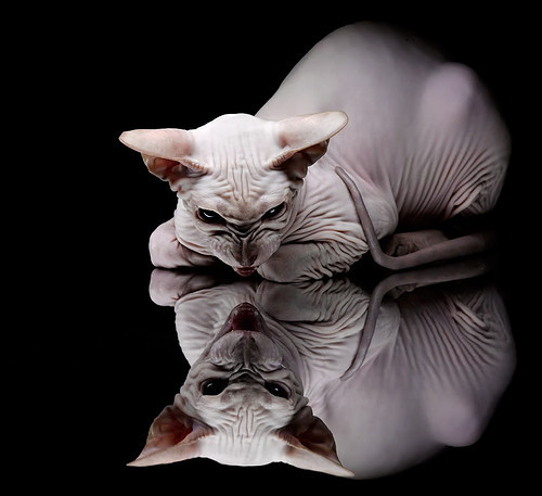 九游APP官网-开局阶段布阵稳定性如何决定后期排名走势，什么是开局阶段