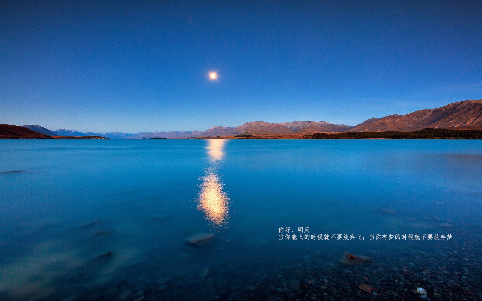 九游下载安装-接力赛现场气氛沸腾 澳男队强势登场,澳大利亚接力队集体禁赛