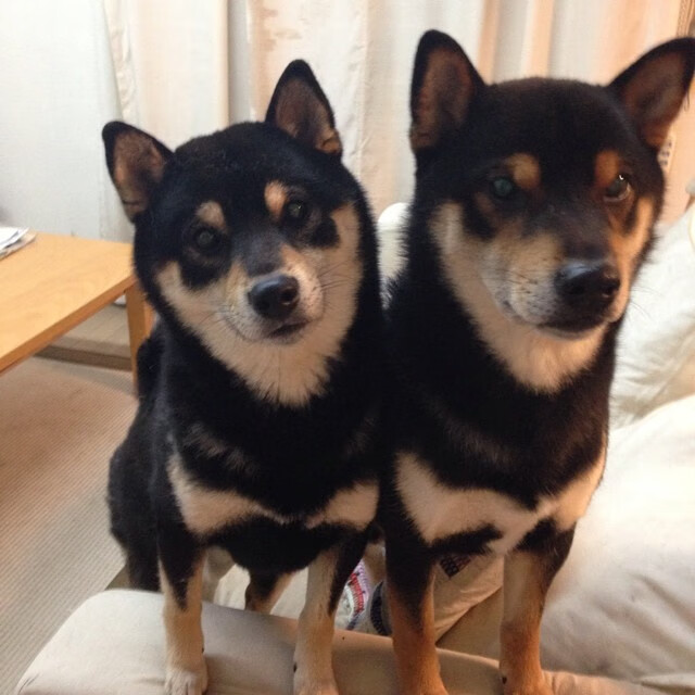 Jiuyou-水上比拼+湖畔市集，赛事之外更精彩