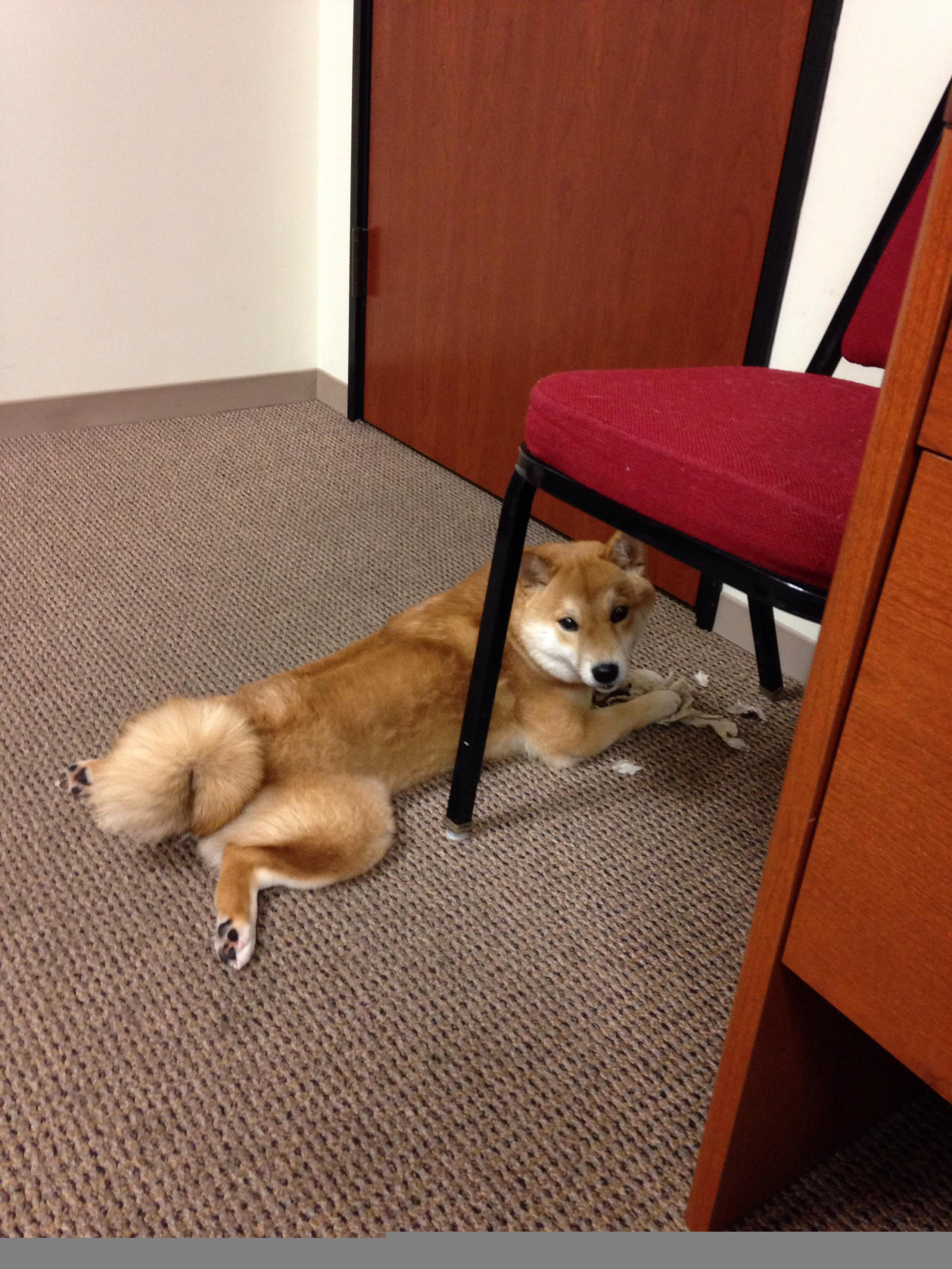 JiuyouAPP下载-观众购票系统升级支持多维度筛选体验,观众票怎么买