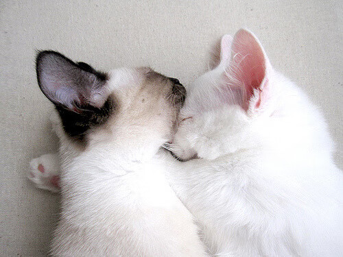 九游下载中心-中国足球国家队组织多样化战术对抗演练,中国足球国家队比赛理念