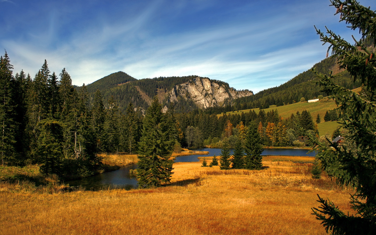 九游(jiuyou)官方网站-中小学篮球对抗赛落幕冠军队表现出色备受高校关注,2020小学篮球比赛
