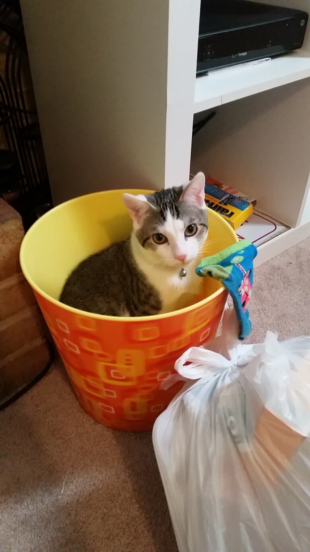 九游网页版官网-塞内加尔男篮在非洲锦标赛中夺冠,篮球势头不断高升,塞内加尔篮球队