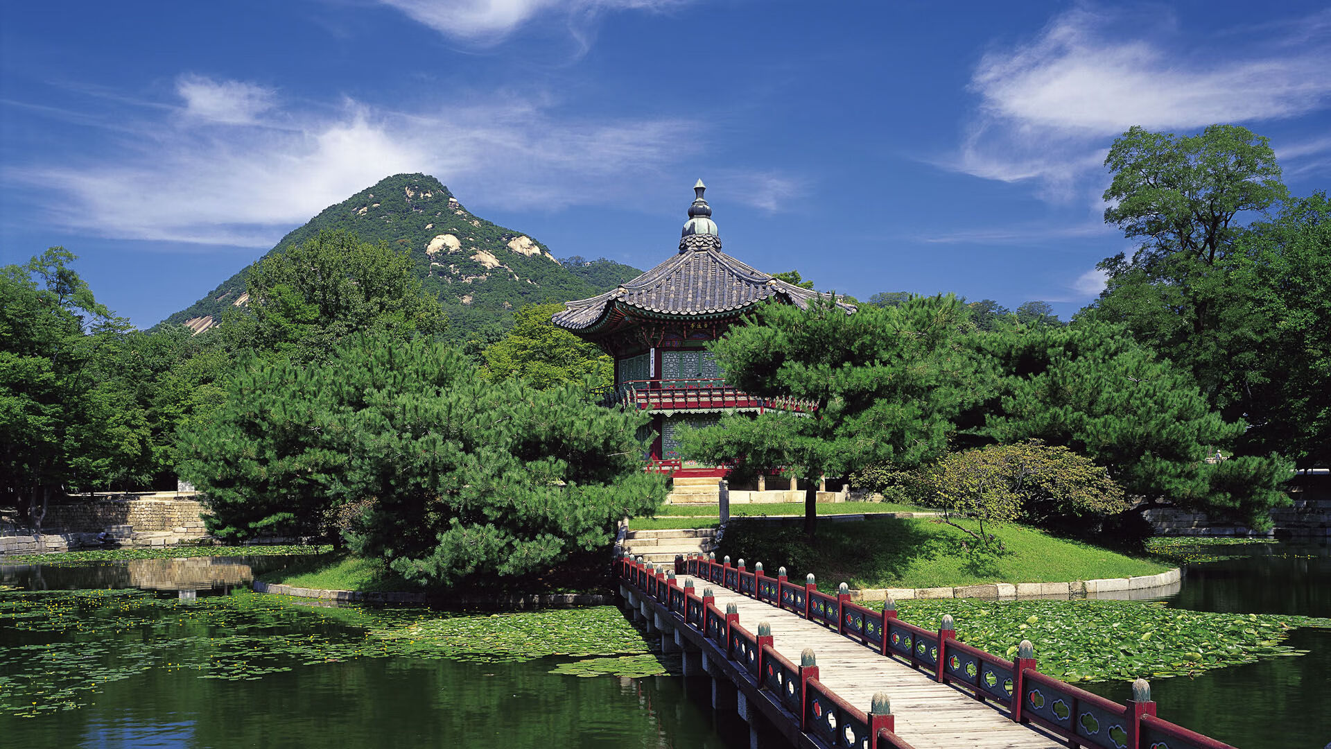 九游网页版官网-塞内加尔男篮在非洲锦标赛中夺冠,篮球势头不断高升,塞内加尔篮球队