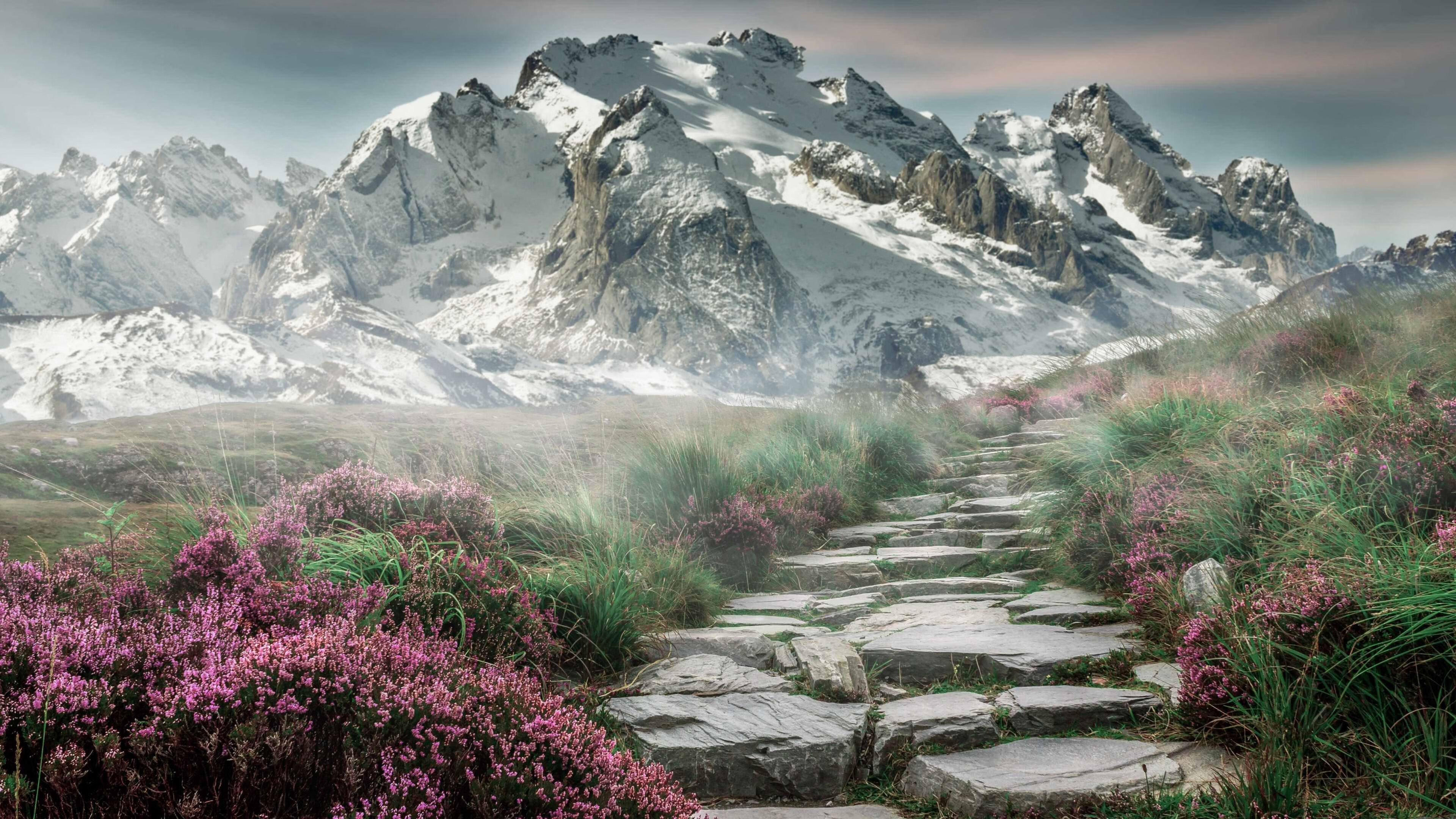 -塞尔维亚男篮在欧洲预赛中奋勇追击,目标更高更远!,塞尔维亚男篮比赛视频