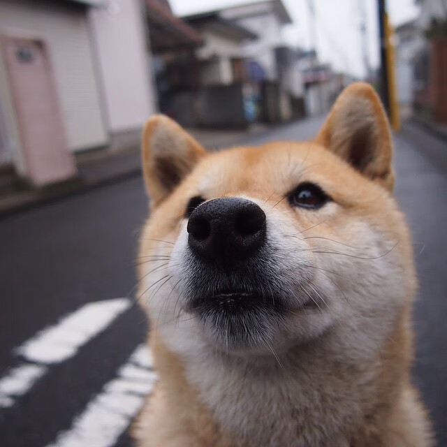 -女子英格兰队世界排名持续上升,英格兰输球后,英国女性行动起来了
