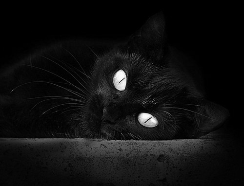 九游网页版官网入口-意甲快攻大战:瞬间突击带来破门快感,意甲高胜率初盘组合